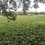 Apartamento Na Maraponga Fortaleza - Mobiliado Com 2 Quartos